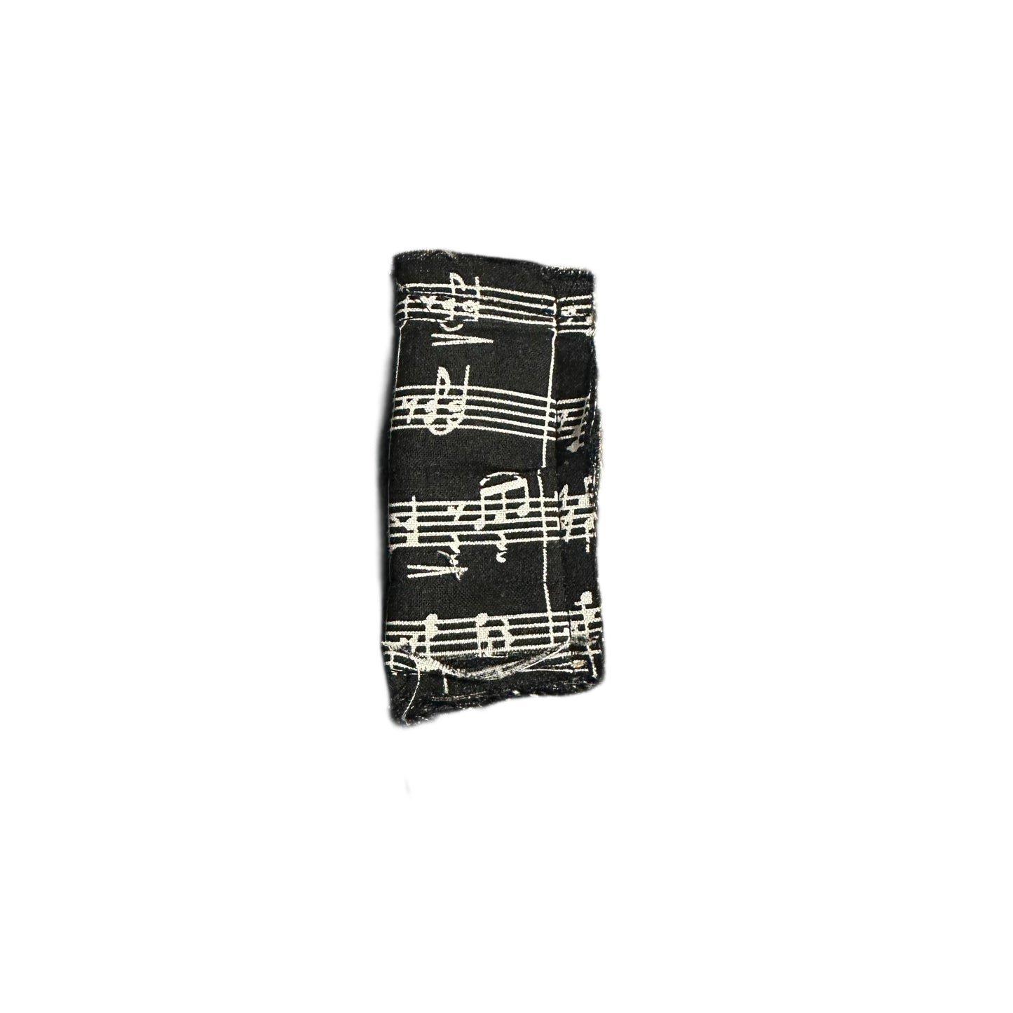 MUSIC LIGHTER CASE