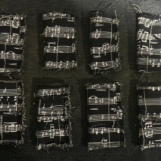 MUSIC LIGHTER CASE