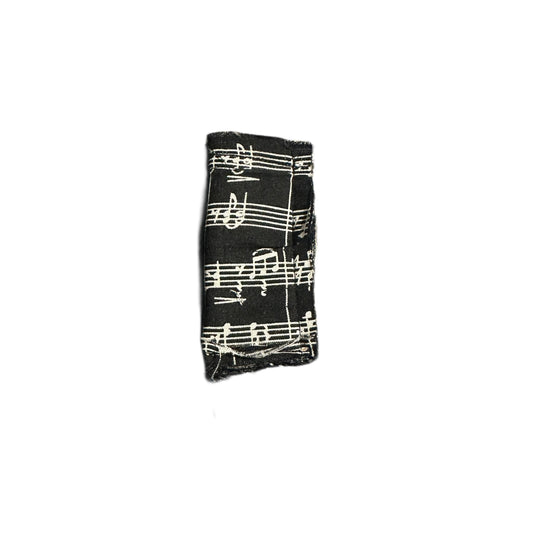 MUSIC LIGHTER CASE